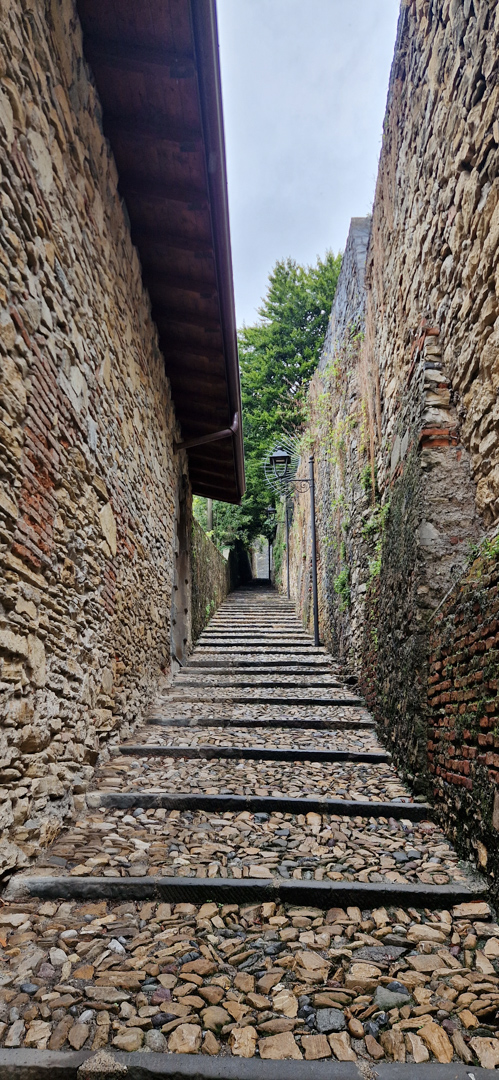 dynamic path